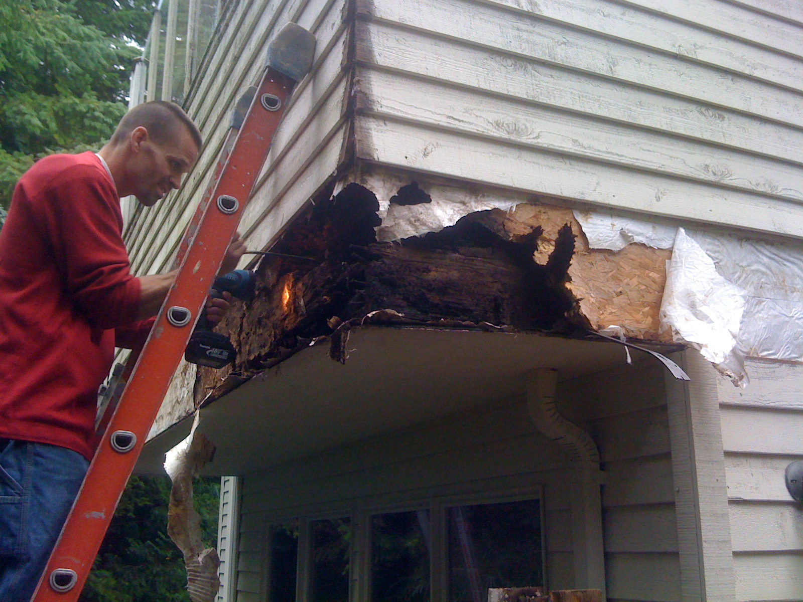 exterior dry rot